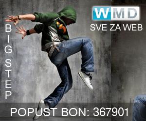Web hosting